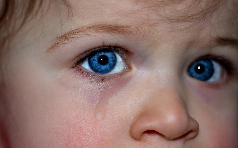 Check this out! How one woman explained bereavement to her children
