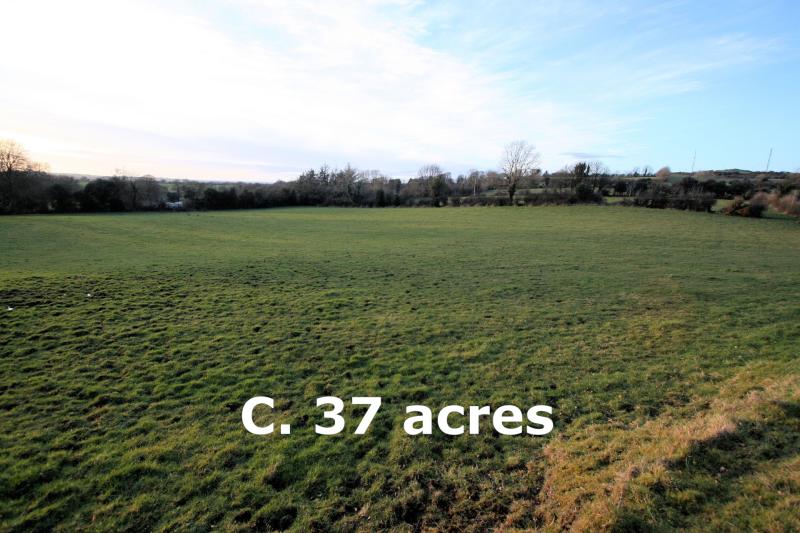 Thirty-seven acre non-residential farm sells for €307,000 at auction