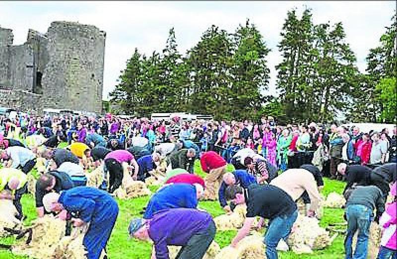 Roscommon Lamb Festival 