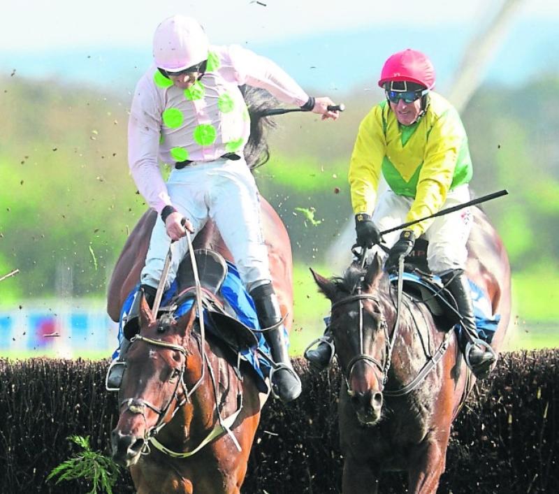 THE PUNTER'S EYE: Punchestown Day 3 Tips - Thursday, April 26