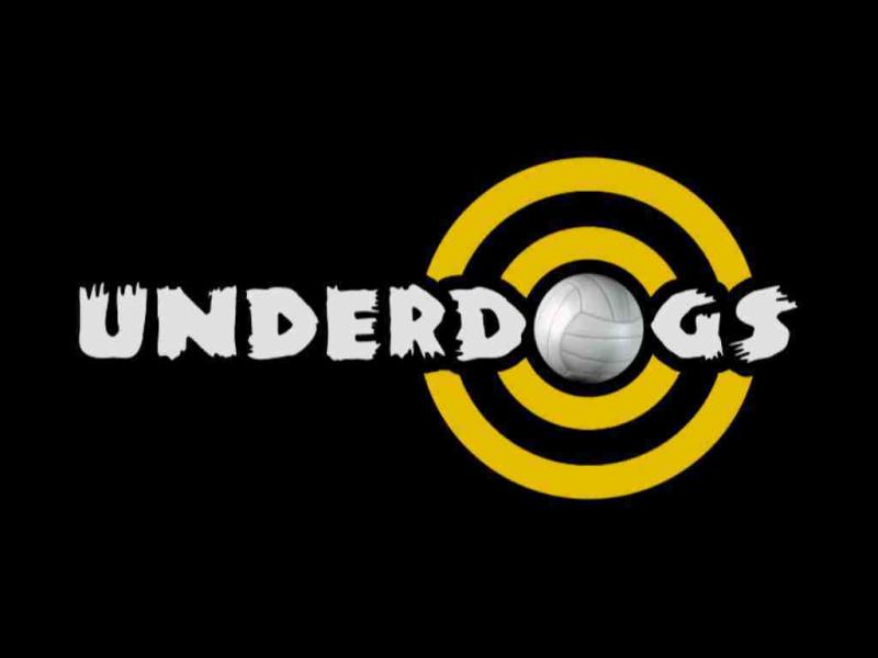 Calling ambitious Longford gaelic footballers - Have you got what it takes to make the TG4 ‘Underdogs’ team?