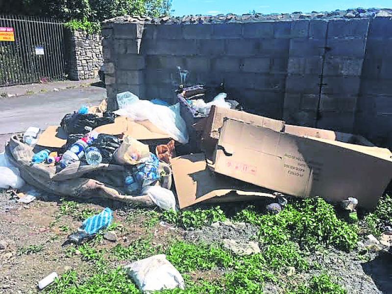 Domestic waste disposal service needed to combat dumping in Longford