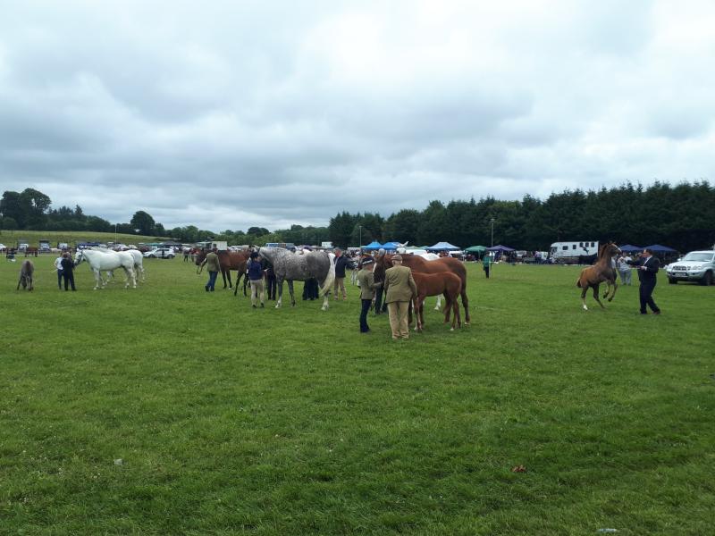 Crowds turn out in force for 66th Granard Agricultural Show