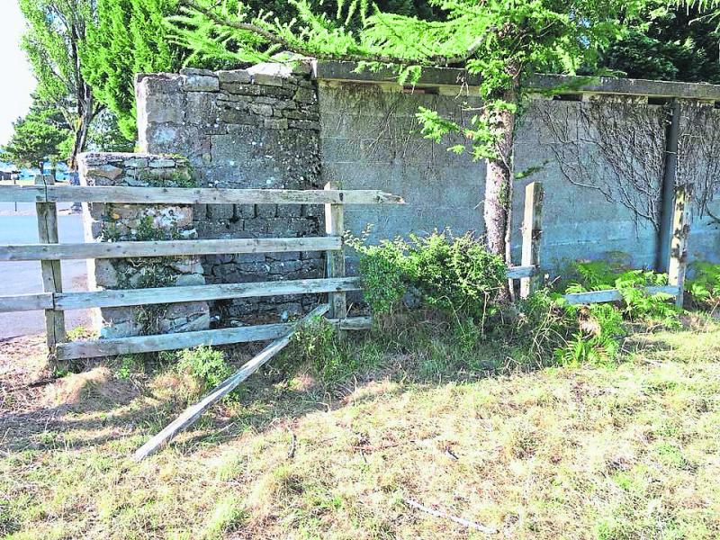 Fury as vandals target key south Longford tourist attraction
