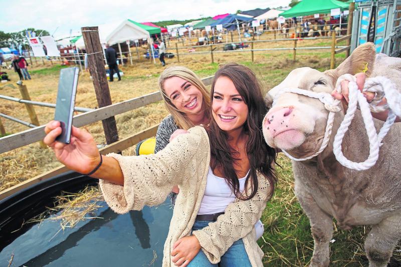 BREAKING NEWS: Tullamore Show cancelled for second year in a row due to Covid-19