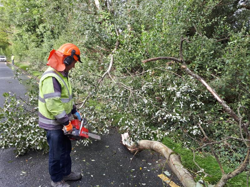 Alert: Road closure due to fallen trees in Longford 