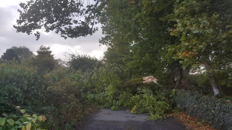 ESB to deploy extra crews to Longford in bid to restore power to affected homes and businesses