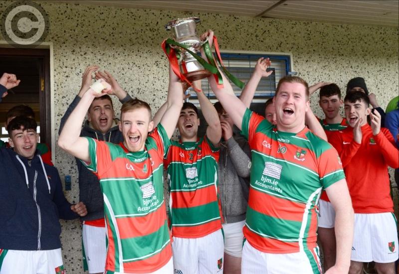 longford senior hurling championship final