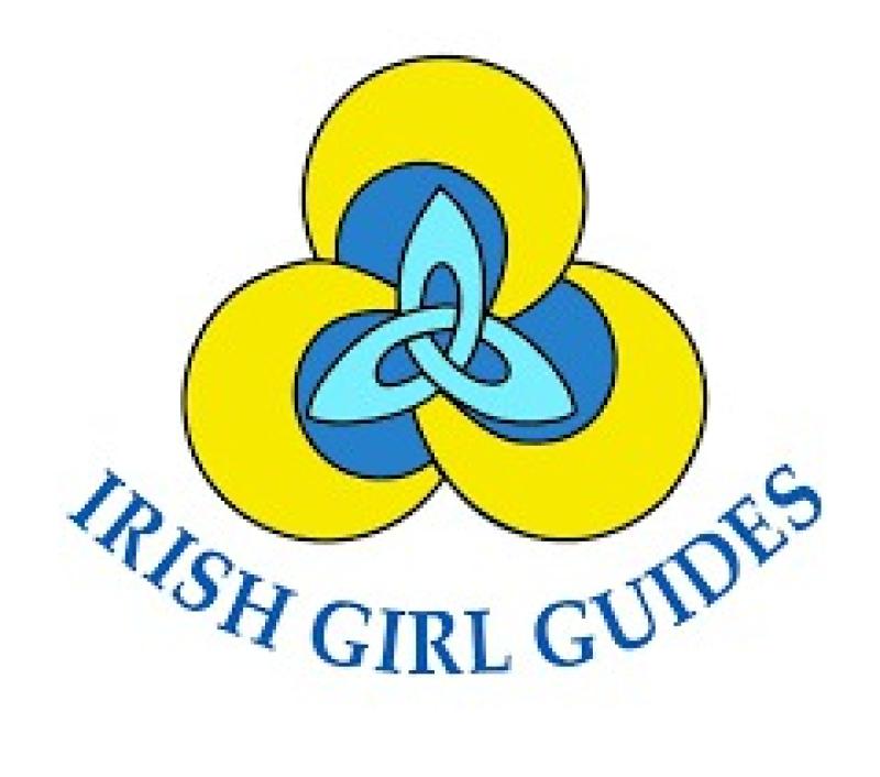 Longford Guides and Brownies urged to parktake in STEPS Engineer Week Challenge