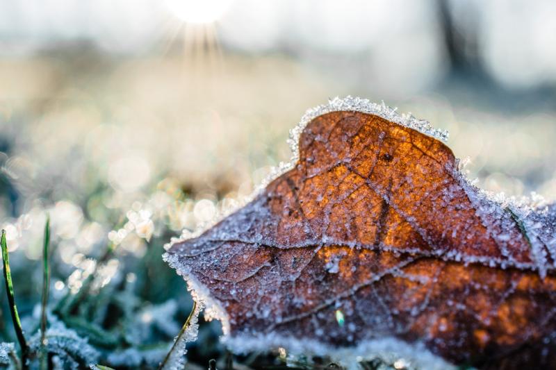 Met Eireann weather forecast for tomorrow