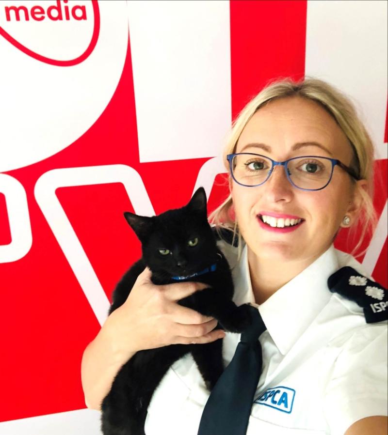 A black cat for good fortune! National Cat Day is Bank Holiday Monday, October 29