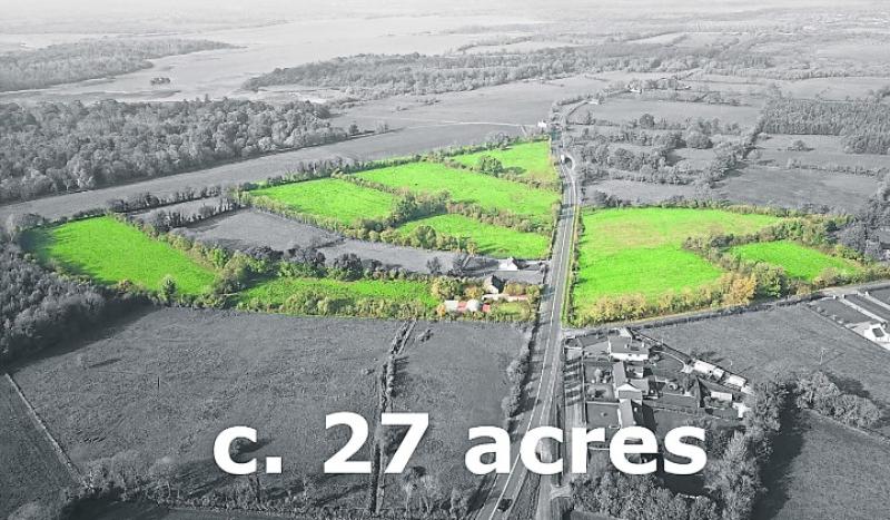 Two Longford farms up for auction this month