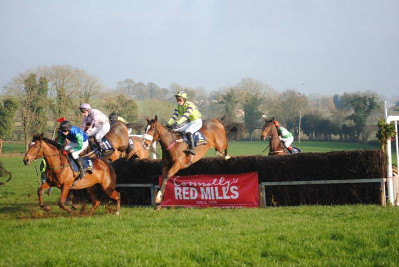 Get close to the action at Longford & Westmeath Harriers Point to Point in Ballinalee