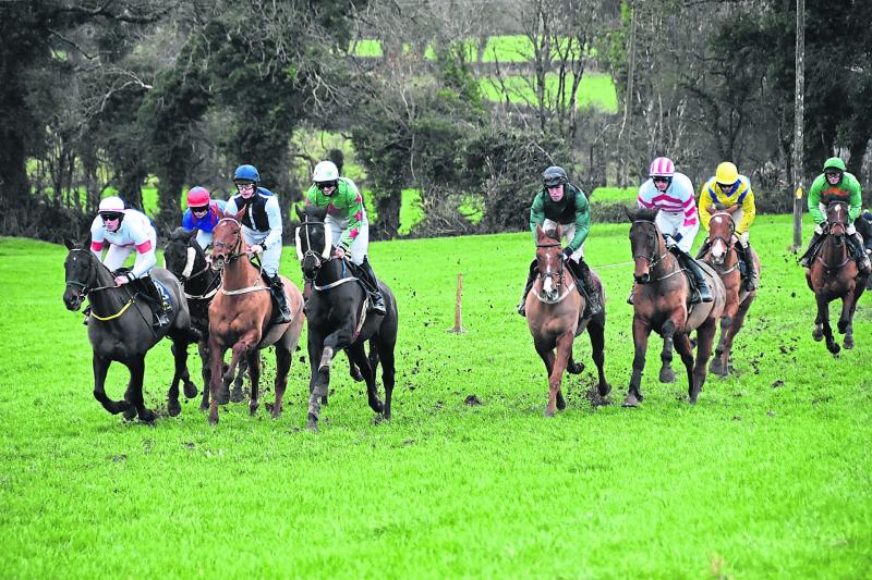 Large crowds take in Co Longford Point to Point 