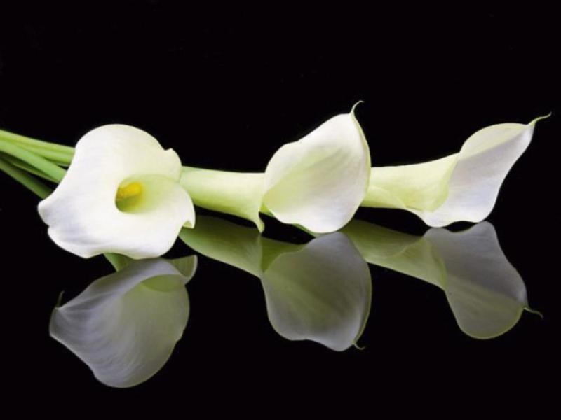 Late Kenagh lady Molly Kenny possessed a lovely heart and a beautiful smile