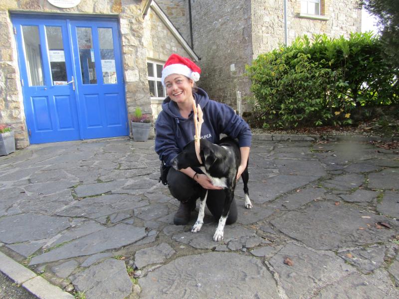 Mary Daly will be caring for neglected animals with no home to call their own at the ISPCA Centre in Longford on Christmas Day