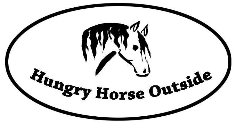 Hungry Horse Outside in Longford issues urgent appeal for voluntary filmmaker