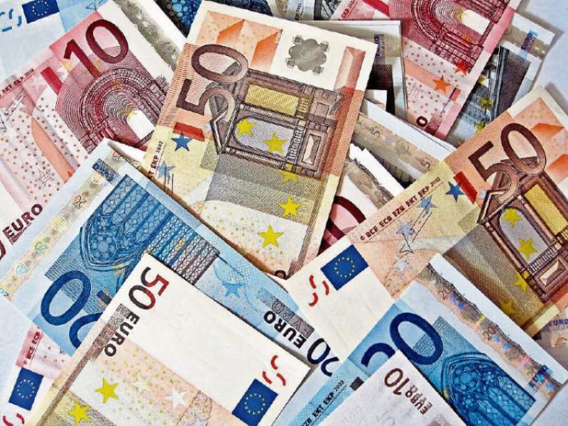 Over half a million in funding for Longford animal welfare organisations