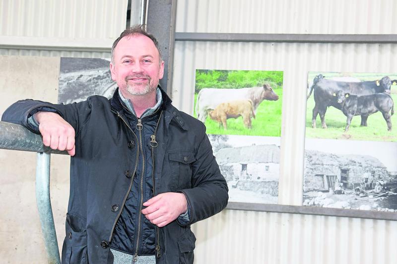 Longford Leader Farming: &lsquo;Demand for bulls is gone - there&rsquo;s just no money in it&rsquo;
