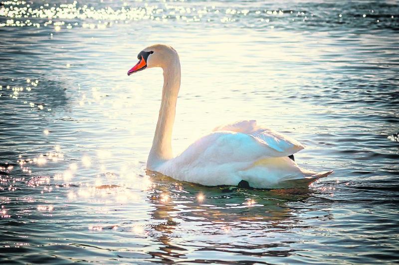 New advisory service is working with farmers to help improve water quality