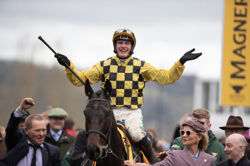 Gold Cup and Champion Hurdle come to Ireland as seven Irish trainers share 14 winners at Cheltenham