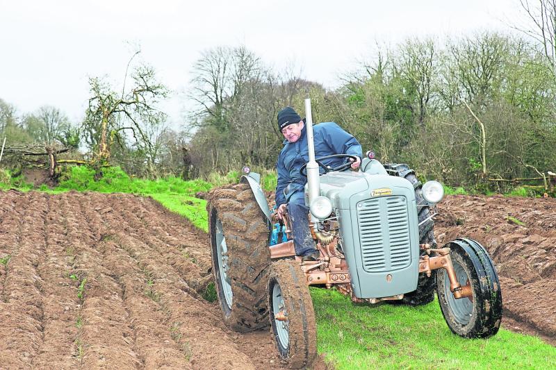 Novice ploughing returns to Granard