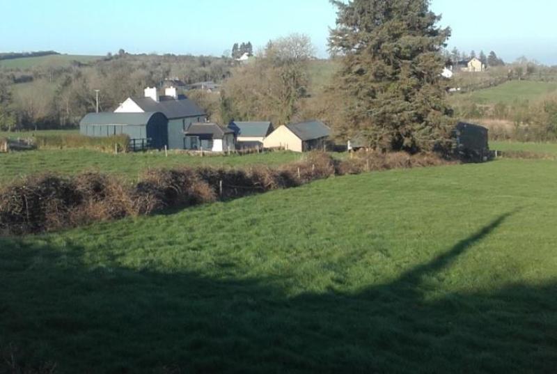 Upcoming auctions in north Longford area