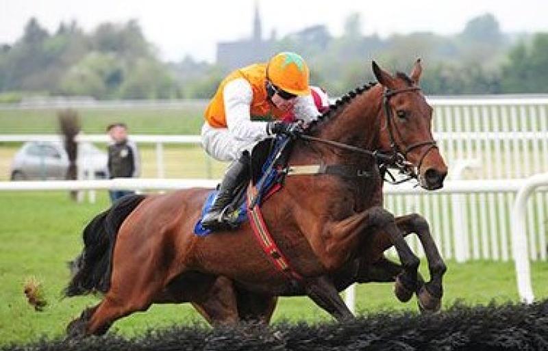 RACING: Top tips for Saturday's card at Fairyhouse
