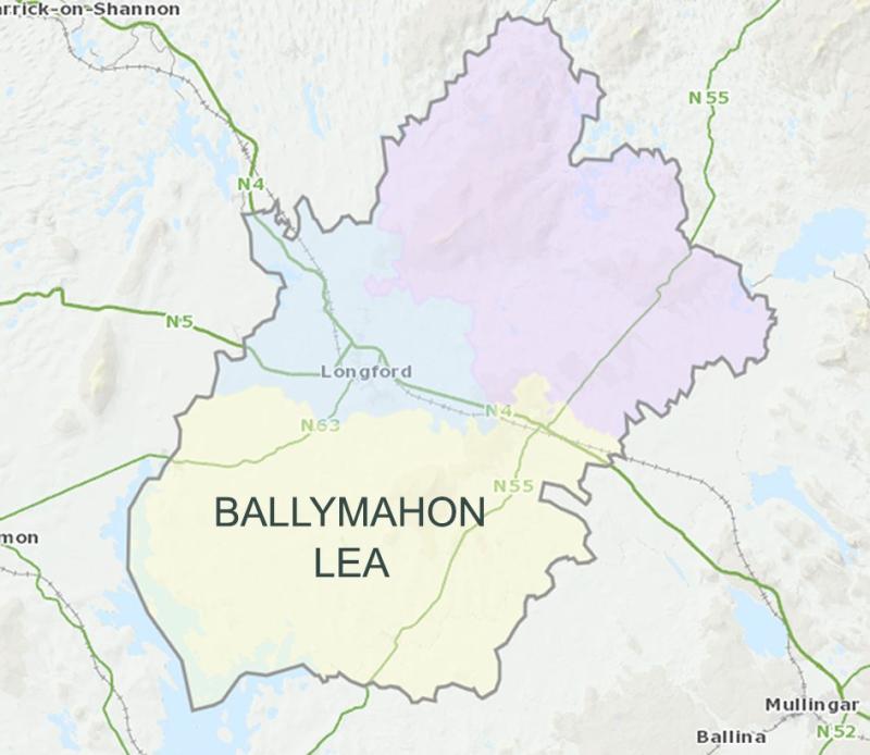 Elections 2019: Voter turnout in Ballymahon municipal district hits 60.08% but is down by 3.57% on 2014