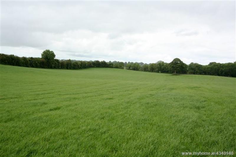 The 83-acres at Collierstown, which will go under the hammer PICTURE: MURTAGH BROS