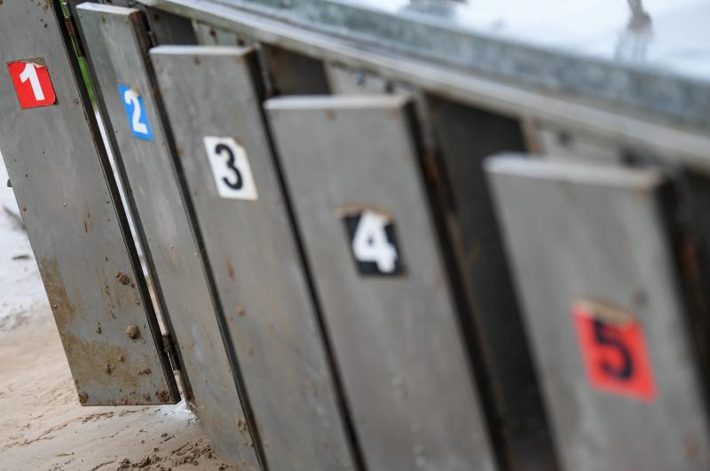 Irish Greyhound Board condemn deplorable actions  highlighted in RTÉ Investigates programme
