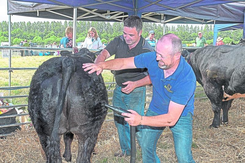 Longford Show