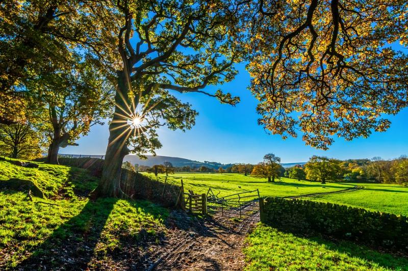 Cut in basic payments will destroy farm incomes