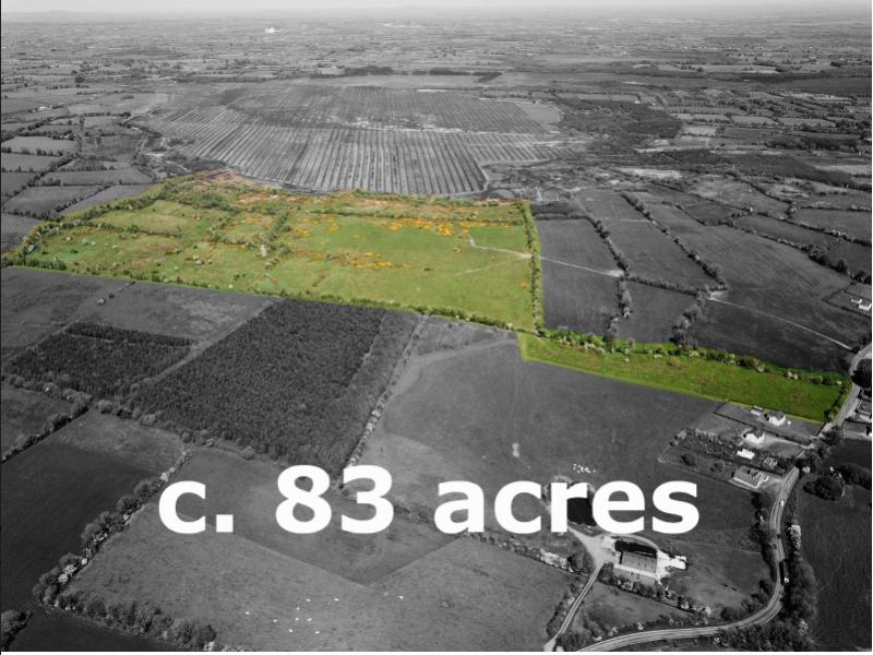 Ballymahon farm sold pre-auction 