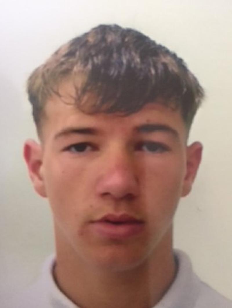 Gardaí appeal for information in search for missing Midlands teen