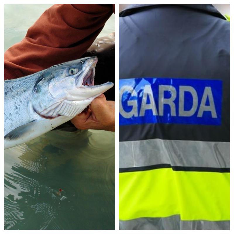 BEWARE: Rogue website selling salmon and sea trout angling licenses