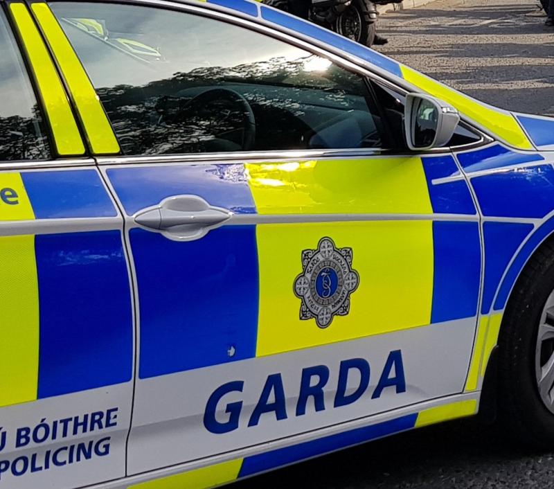 Garda arrests