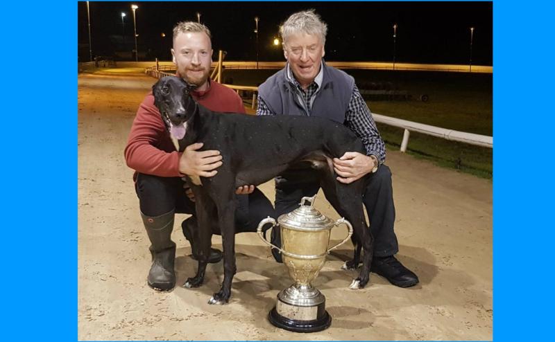 Zaconey Hulk sprints to €5,000 derby glory at Longford Greyhound Stadium 