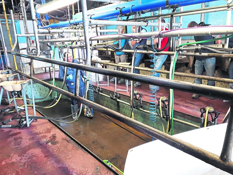Longford Leader Farming: Can you lift the 3t cluster?