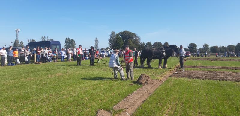 Horse Plough class in Fenagh