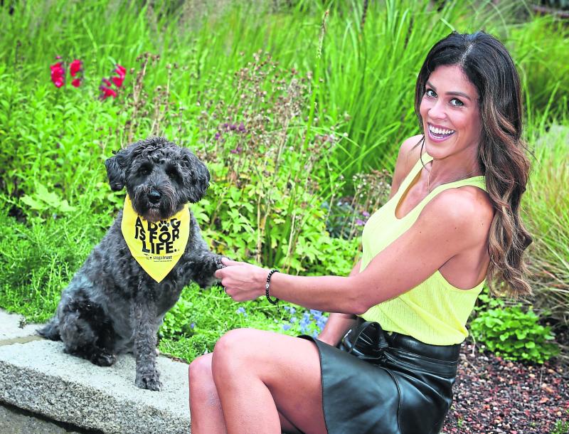 Longford support urged for ‘Give Paw’ campaign 