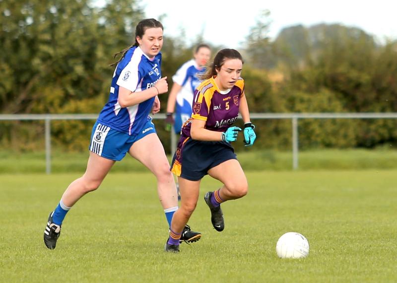 Picture; Syl Healy
