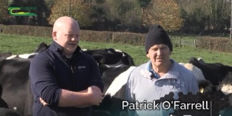 Patrick and Padraig O'Farrell
