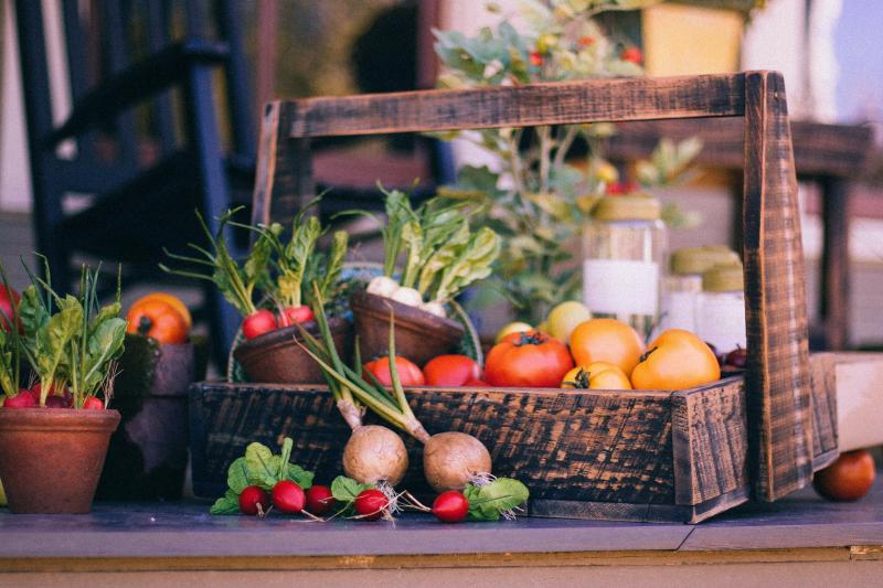 Longford's Laura Thompson on eating well to age well