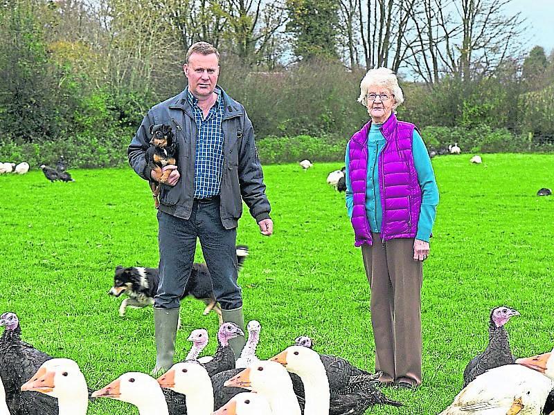 Christmas in Kenagh: There’s no turkey like a Doyle turkey