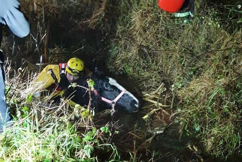 Longford emergency services  rescue horse from 10ft bog drain