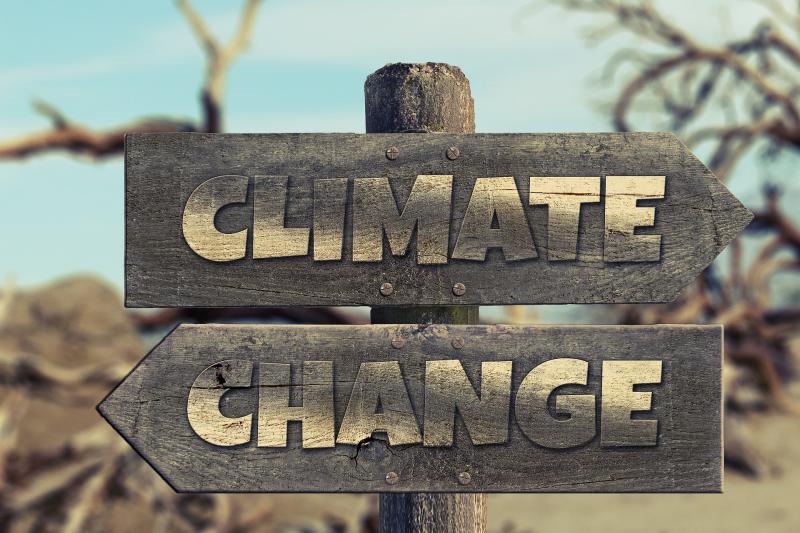 Edgeworthstown Tidy Towns initiating a number of community projects to tackle climate change