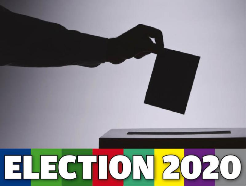 General Election 2020: The candidates in Longford / Westmeath