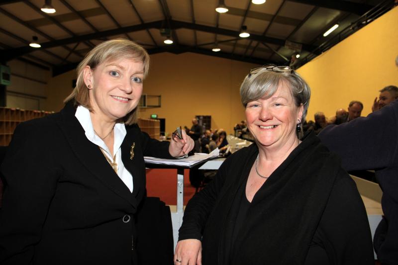 Former Longford General Election candidate disappointed with Taoiseach’s disingenuous remarks on Independent rural candidates