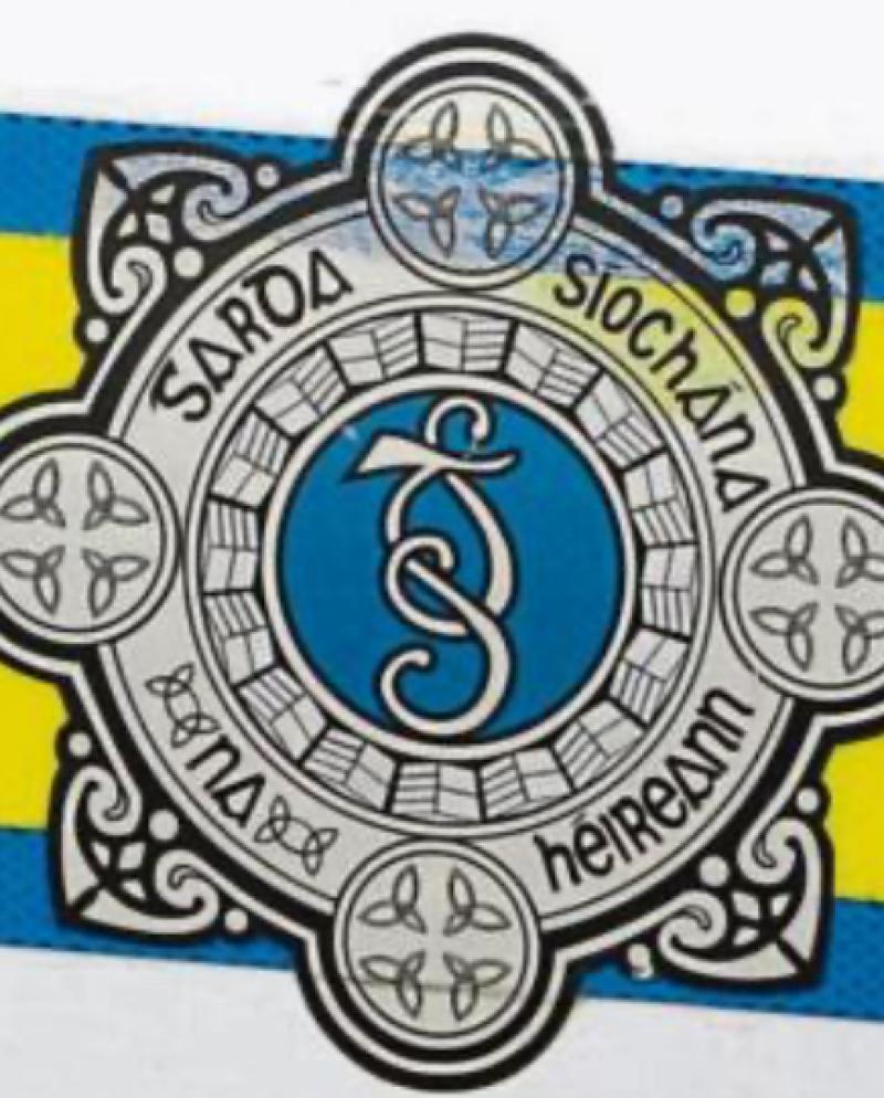 Gardaí seek assistance in tracing missing Longford man